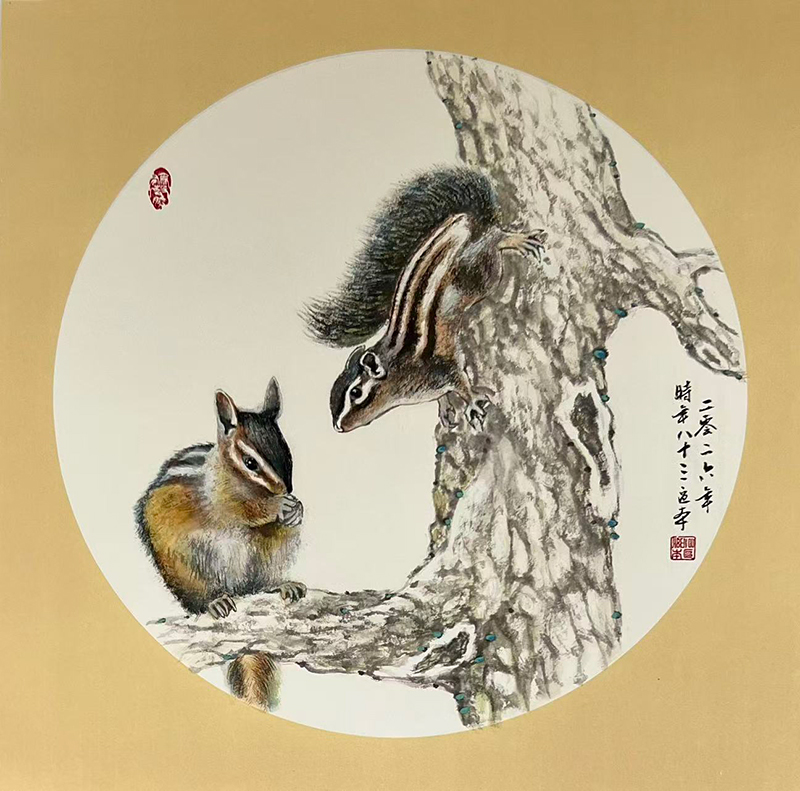 松鼠图
